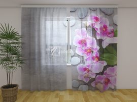 Törékeny rózsaszín orchideák és kövek