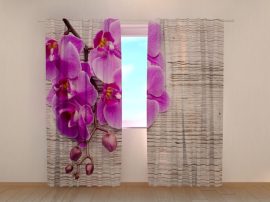 Orchideák és fa 2