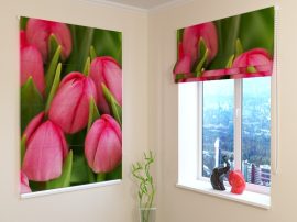 Áprilisi tulipánok