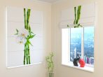 Bambusz és fehér orchidea