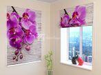 Orchideák és fa 2