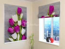 Lila és fehér tulipánok